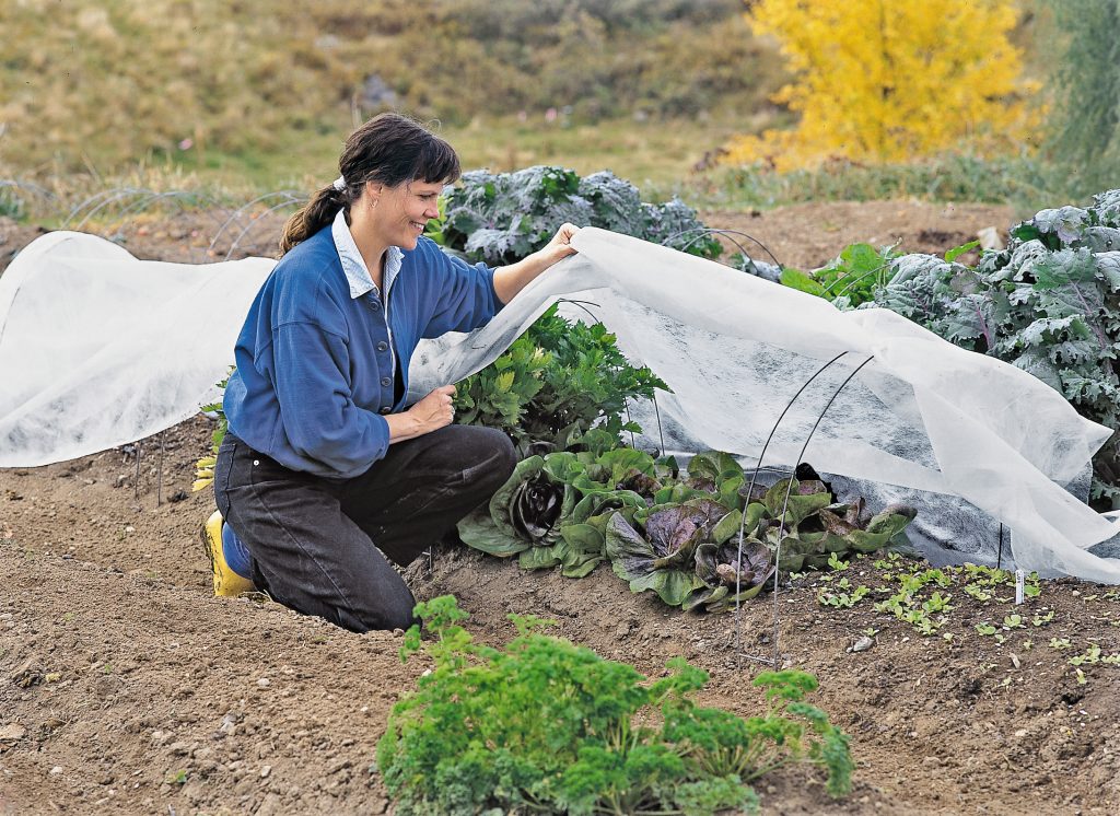 gardener's supply garden sheet