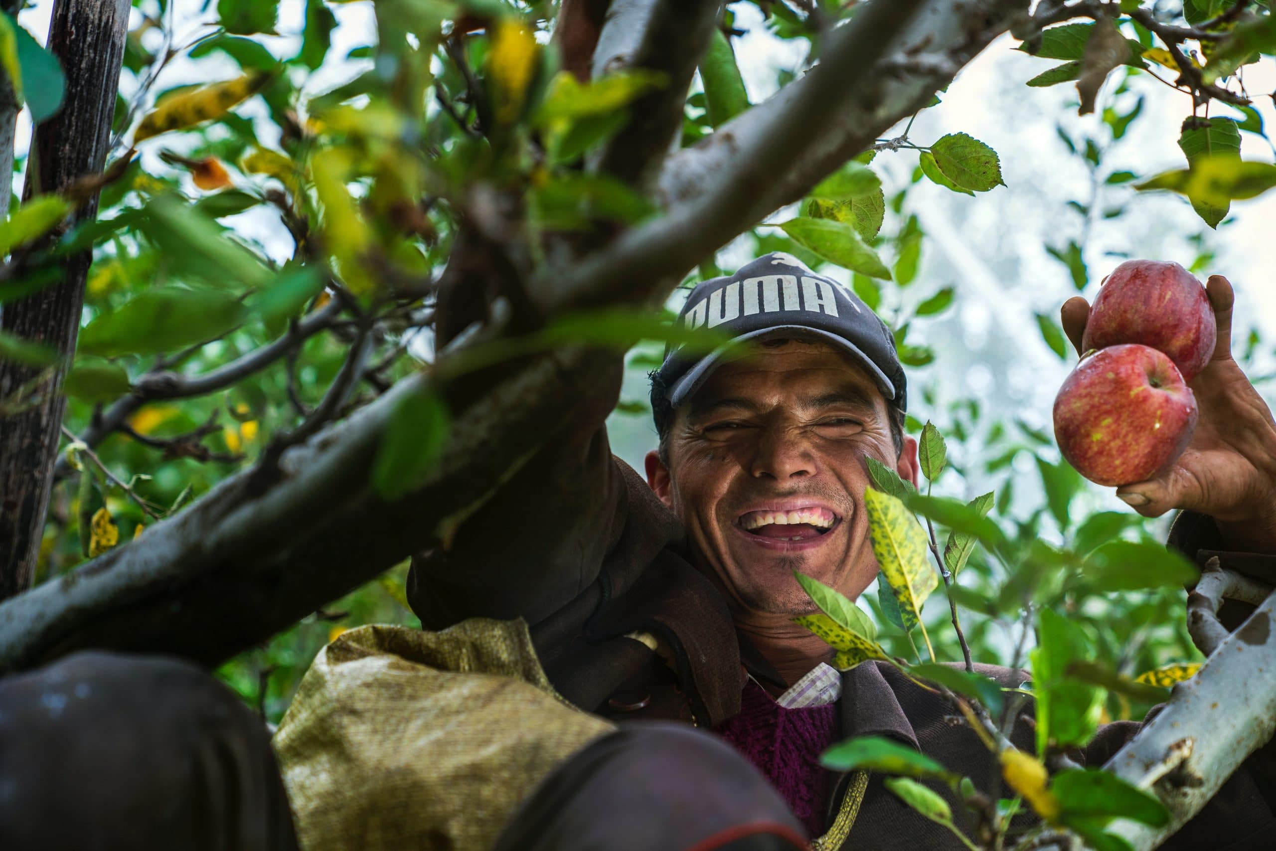 Food Justice