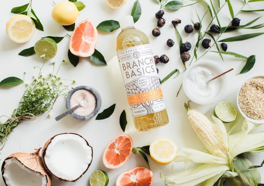 branch basics sustainable cleaning products company